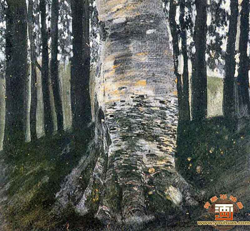 ɭBirch in a Forest_ķƷ