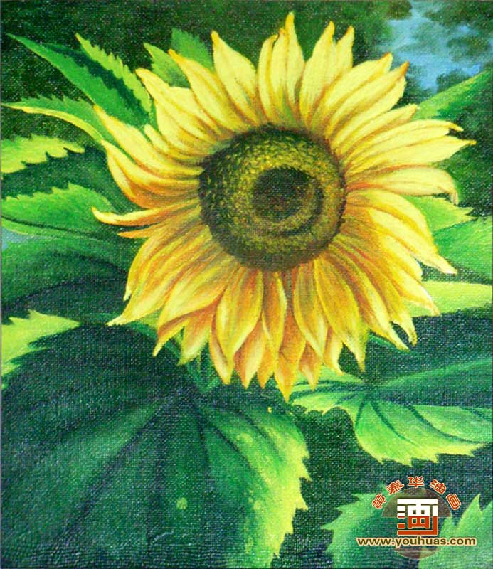 一朵写实风格向日葵油画